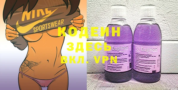 МДПВ Нефтегорск