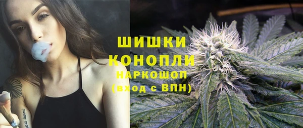 МДПВ Нефтегорск