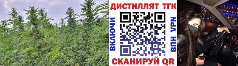 мега маркетплейс Всеволожск Дистиллят ТГК концентрат