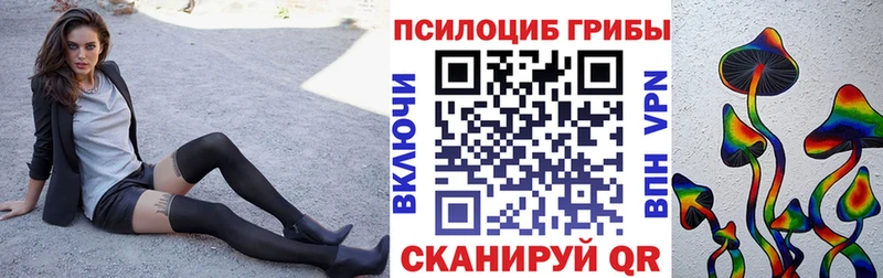 Псилоцибиновые грибы Cubensis  Всеволожск 