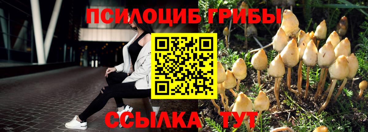Всеволожск  Галлюциногенные грибы Cubensis  Вход с VPN  Галлюциногенные грибы Psilocybe 