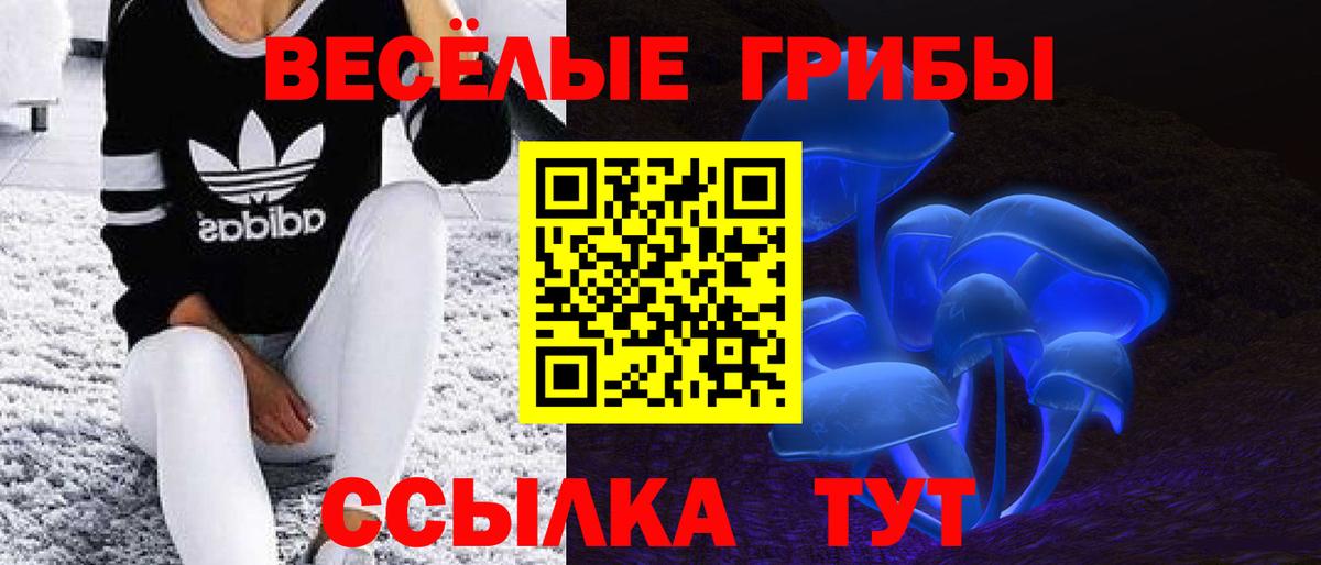 Каннабис  COCAIN  Мяу-Мяу  Всеволожск  ГАШ  Вход с VPN  Alpha PVP  Конопля  Ляпка 