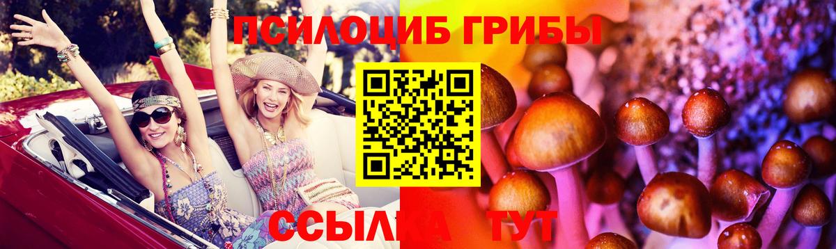 Псилоцибиновые грибы Magic Shrooms Всеволожск