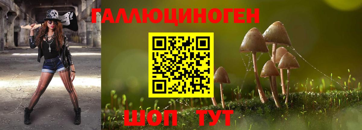 Псилоцибиновые грибы MAGIC MUSHROOMS  Всеволожск 